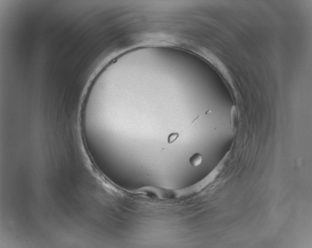 X0000073461488200608111457