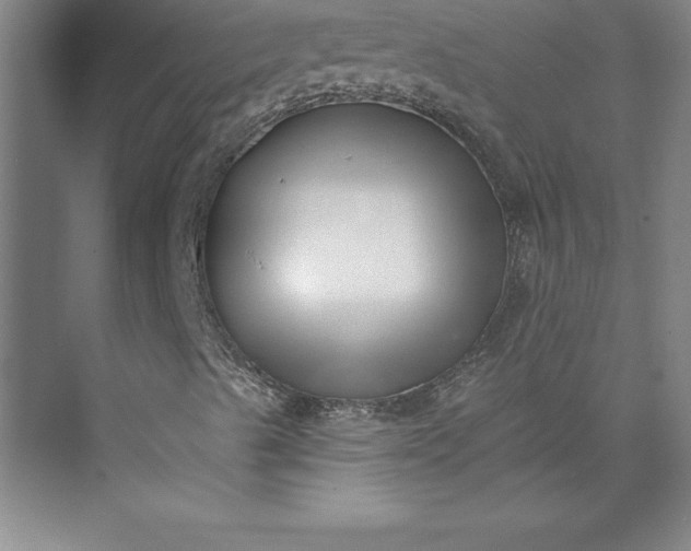 X0000073461489200608111456