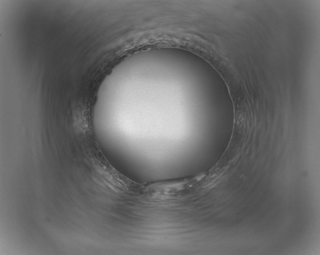 X0000073461490200608111456