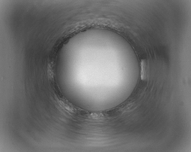 X0000073461491200608111456