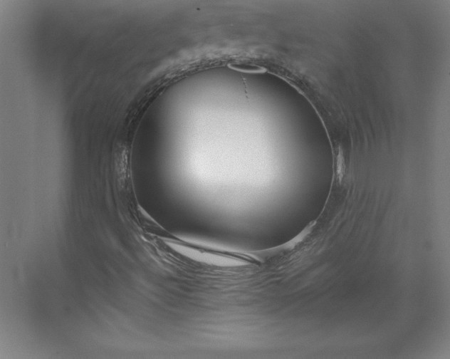 X0000073461492200608111456