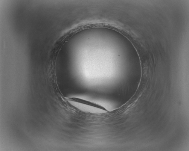 X0000073461494200608111456