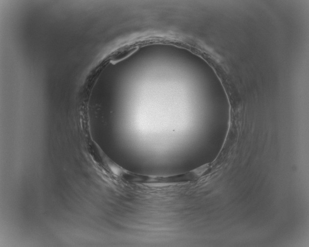 X0000073461496200608111456