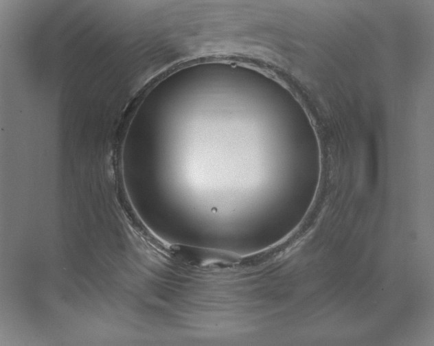 X0000073461497200608111456