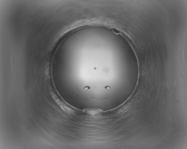 X0000073461499200608111456