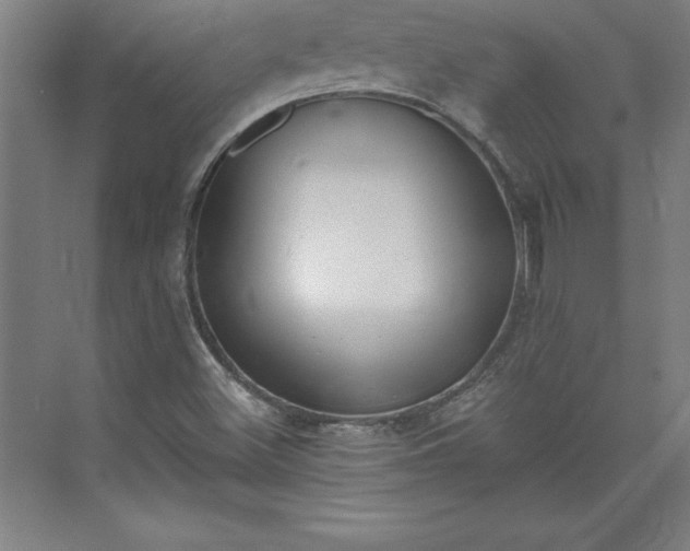 X0000073461500200608111456