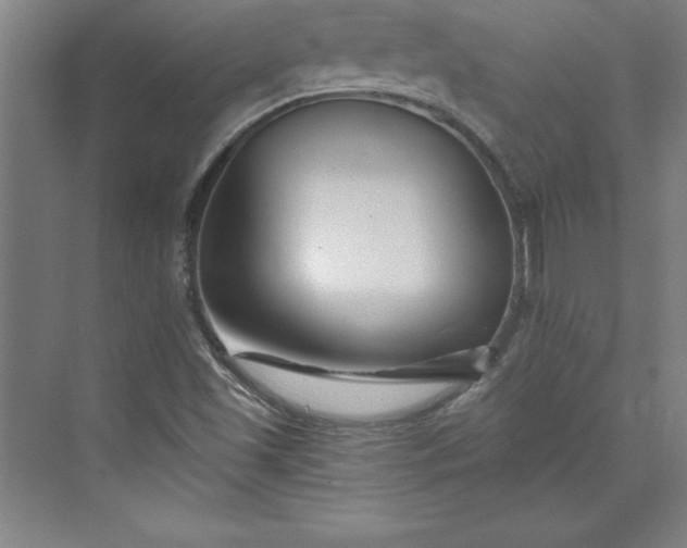 X0000073461501200608111456