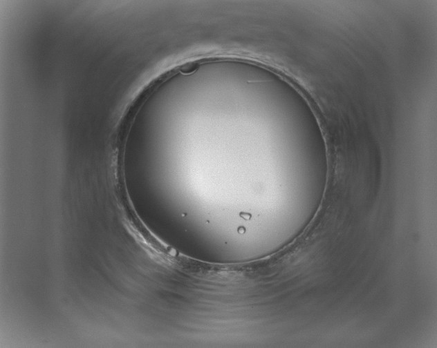 X0000073461503200608111456