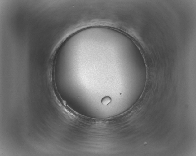 X0000073461504200608111456