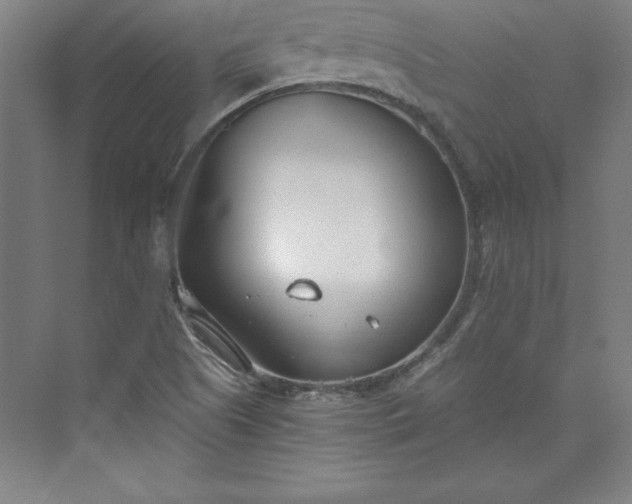 X0000073461505200608111456