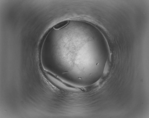 X0000073461506200608111456