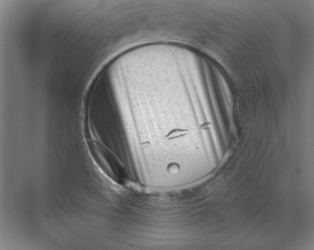 X0000073461508200608111456