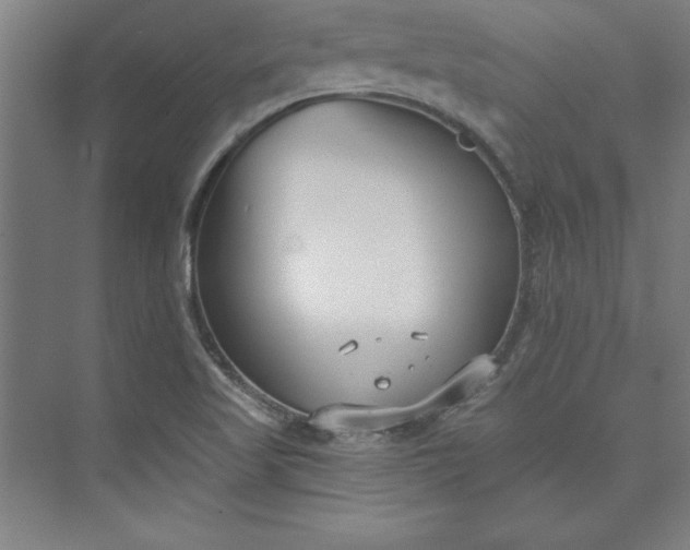 X0000073461509200608111456