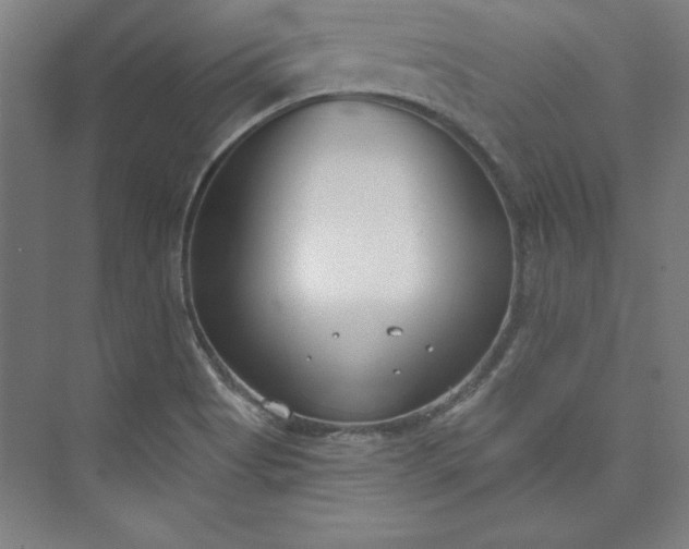 X0000073461513200608111456