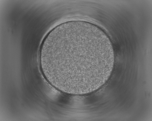 X0000073461514200608111456