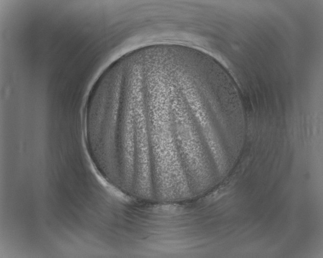 X0000073461515200608111457