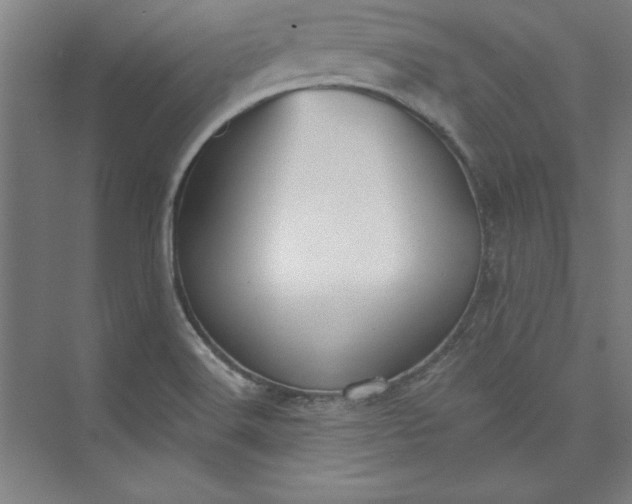 X0000073461516200608111457