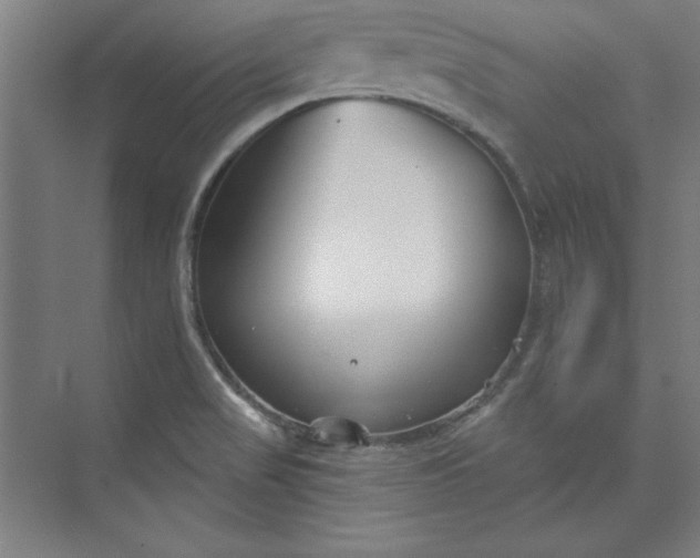 X0000073461517200608111457