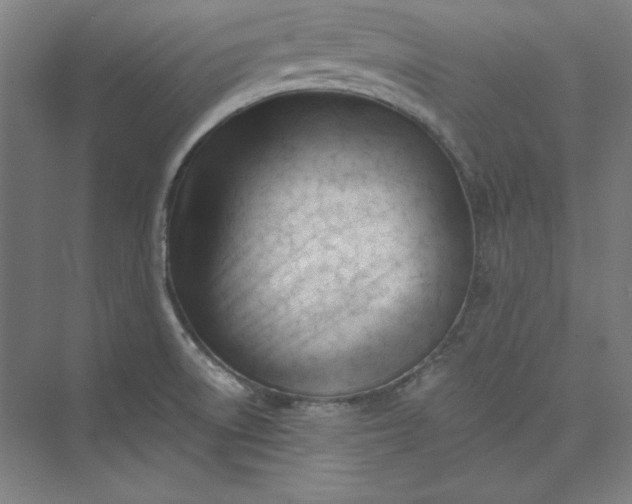 X0000073461522200608111457