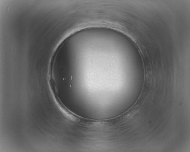 X0000073461523200608111457