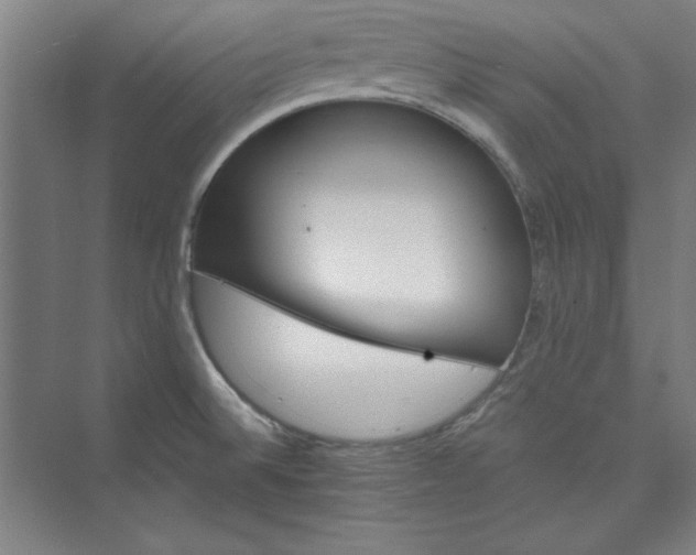 X0000073461524200608111457