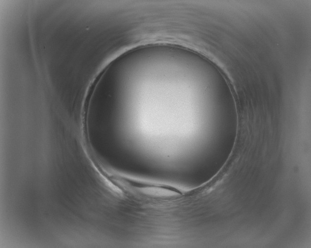 X0000073461525200608111457