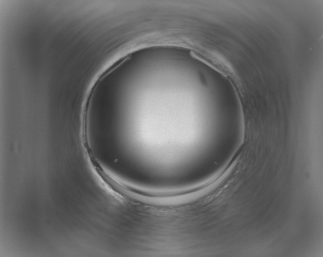 X0000073461528200608111457