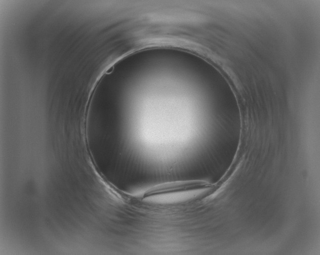 X0000073461529200608111457