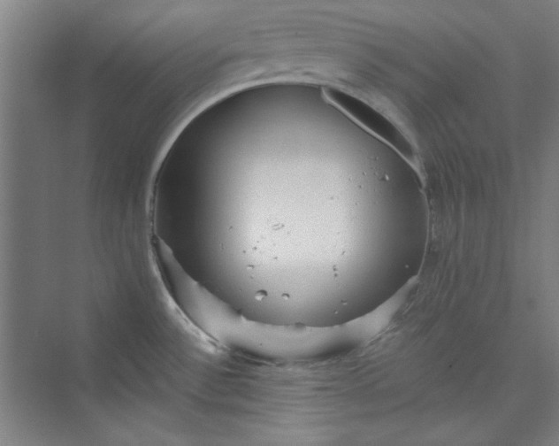 X0000073461532200608111457