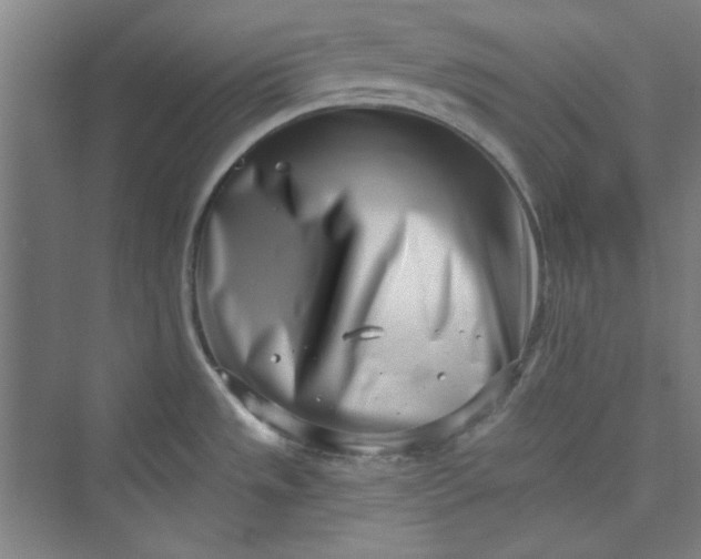 X0000073461533200608111457