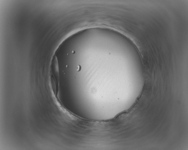 X0000073461534200608111457