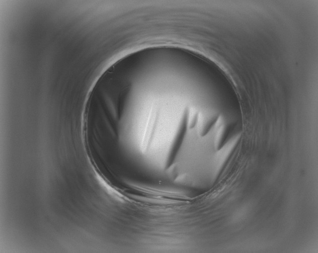 X0000073461535200608111457