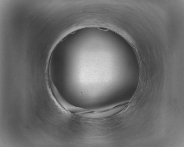 X0000073461536200608111457