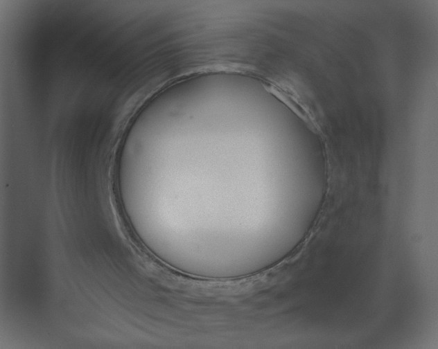 X0000073460001200608181317