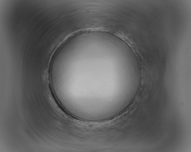 X0000073460002200608181317