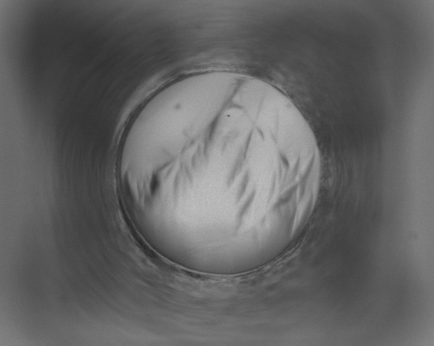 X0000073460004200608181317