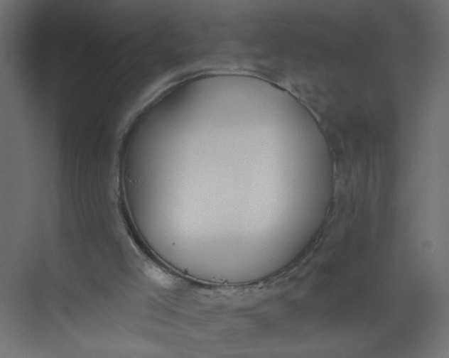 X0000073460005200608181317