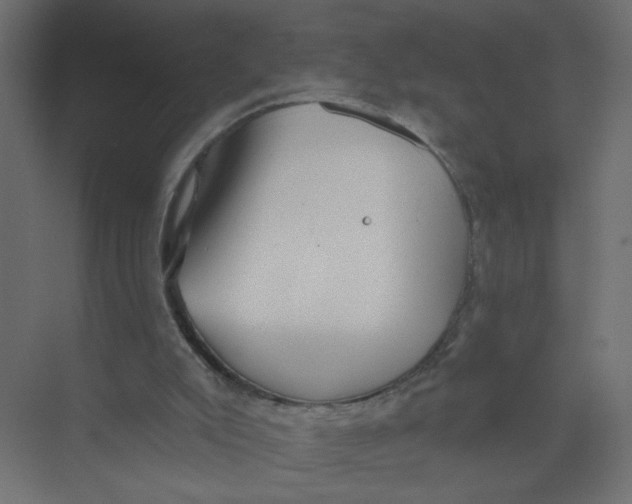 X0000073460007200608181317