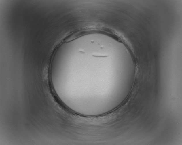 X0000073460010200608181317