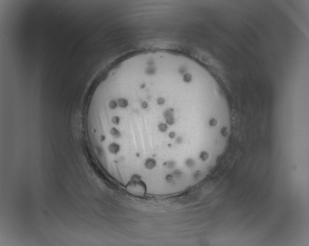 X0000073460012200608181317