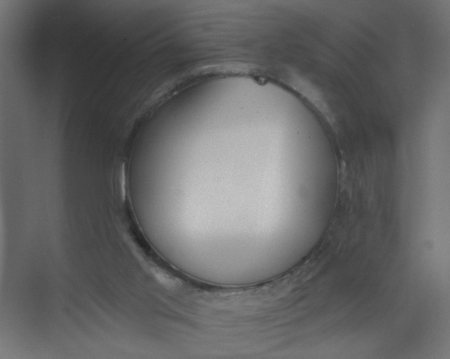 X0000073460013200608181317