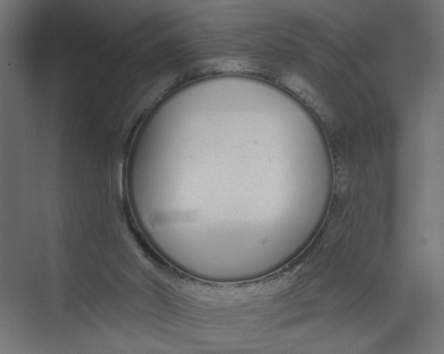 X0000073460014200608181317