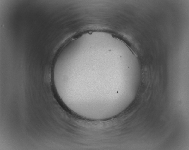 X0000073460015200608181317