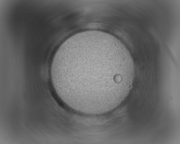 X0000073460016200608181317