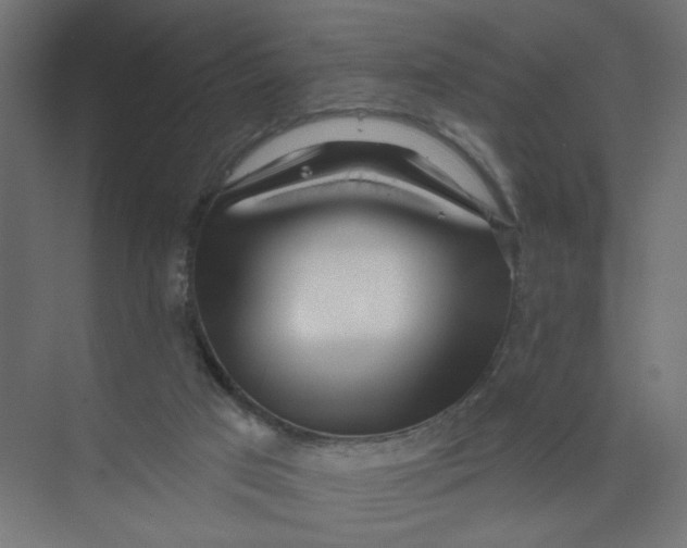 X0000073460017200608181317