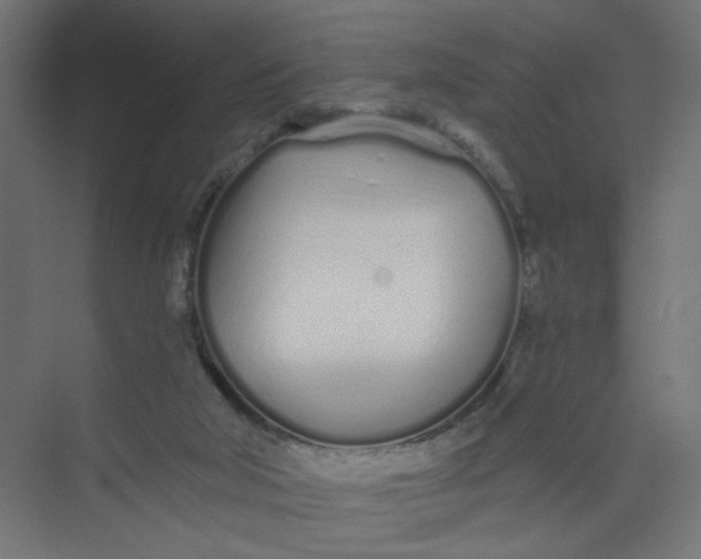 X0000073460018200608181317