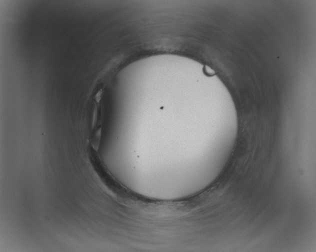 X0000073460020200608181317