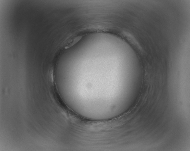 X0000073460021200608181317