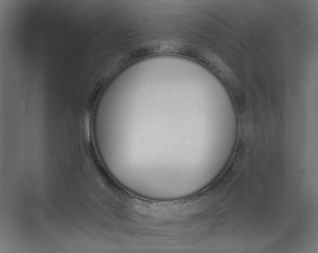 X0000073460022200608181317