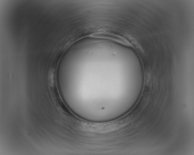 X0000073460026200608181317